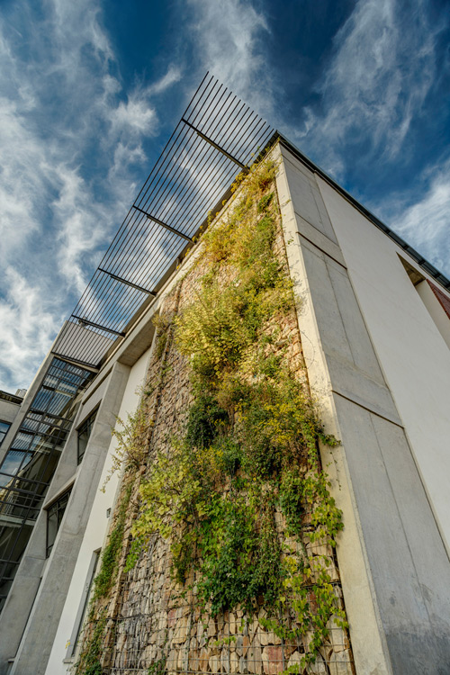 wet botanical wall