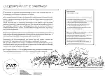 SUID-AFRIKAANSE AKADEMIE VIR WETENSKAP EN KUNS