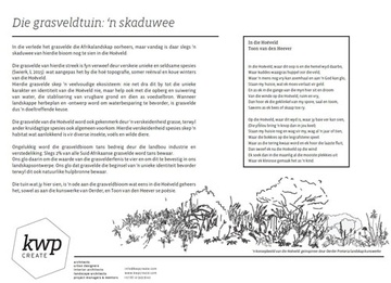 SUID-AFRIKAANSE AKADEMIE VIR WETENSKAP EN KUNS