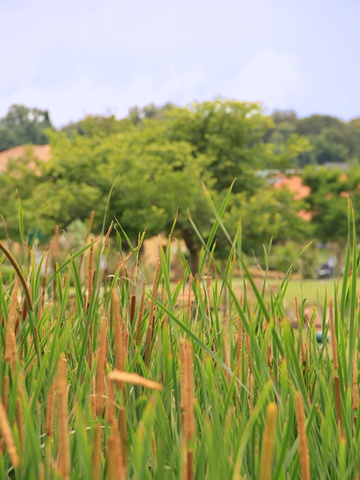 Clearwater Country Estate